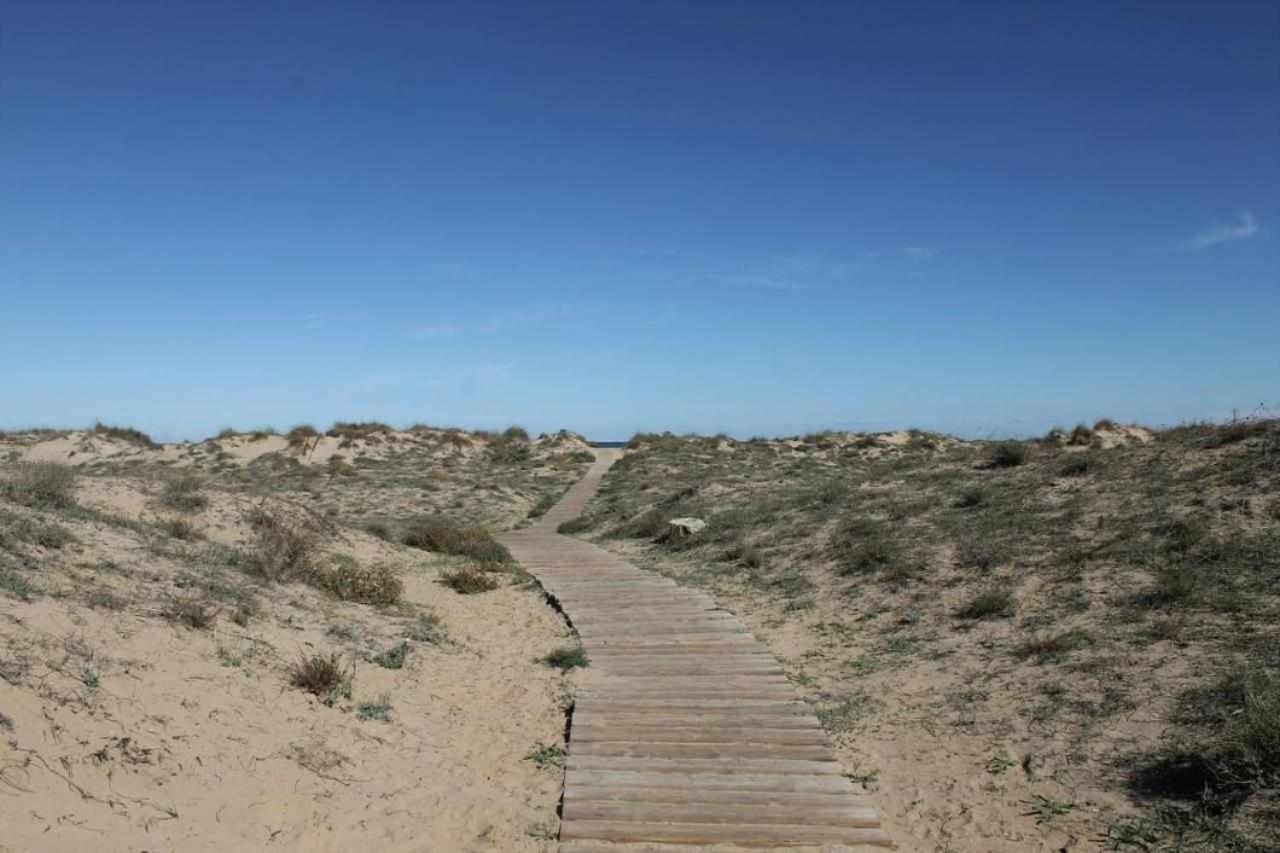 Apartamento de lujo en la playa Oliva Exterior foto
